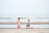 Dale and Katie - Proposal IOP